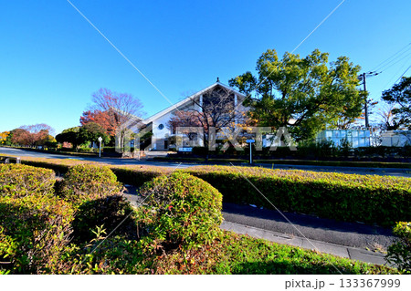 埼玉県 騎西総合公園の紅葉 埼玉県 騎西総合公園の紅葉 133367999