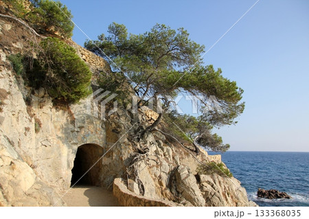 Landscape in the mountains of Israel. 133368035