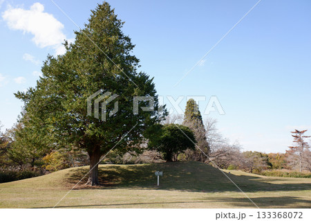 千葉県 龍角寺古墳群・68号墳 千葉県 龍角寺古墳群・68号墳 133368072