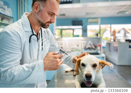 Veterinarian caring for a dog in a bright and welcoming clinic Veterinarian caring for a dog in a bright and welcoming clinic 133368109