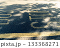 道路　アスファルトのbus stop表示に落ちる木漏れ陽　 133368271