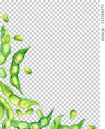 手繪水彩毛豆邊框 133368272