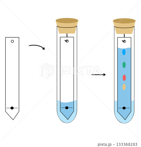 Paper Chromatography Experiment Diagram in a Test Tube, Separation of Components and Analysis Technique 133368283