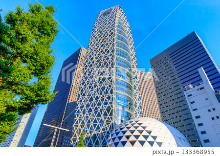 東京　新宿区　西新宿の都市風景 133368955
