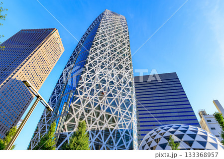 東京　新宿区　西新宿の都市風景 133368957