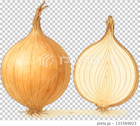 一幅線條柔和的插圖 133369023