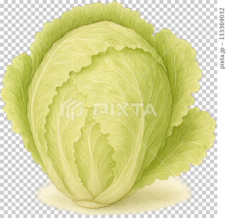 A subtle line drawing illustration 133369032