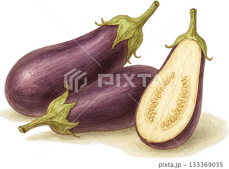 ほのかな感じの薄いラインドローイングイラスト 133369035