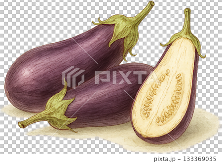 ほのかな感じの薄いラインドローイングイラスト 133369035