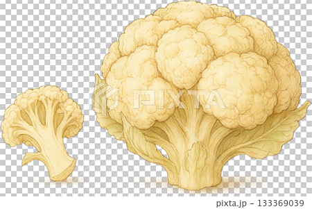一幅線條柔和的插圖 133369039