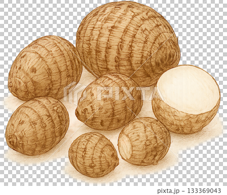 一幅線條柔和的插圖 133369043