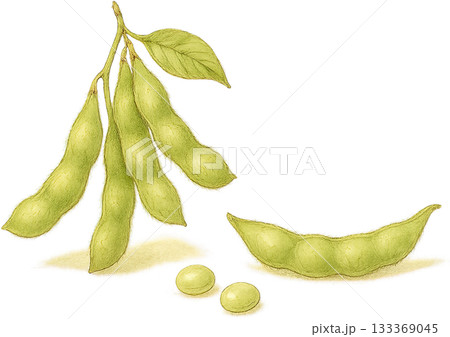 ほのかな感じの薄いラインドローイングイラスト 133369045