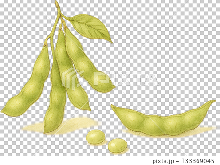 A subtle line drawing illustration 133369045