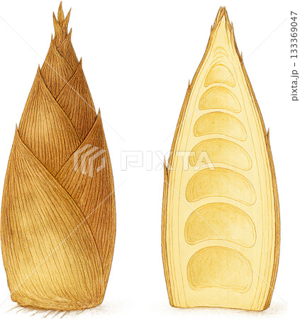 ほのかな感じの薄いラインドローイングイラスト 133369047