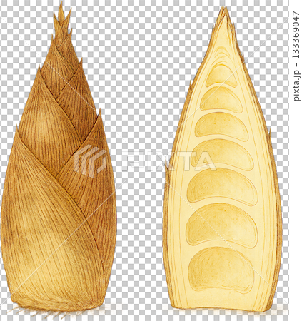 ほのかな感じの薄いラインドローイングイラスト 133369047