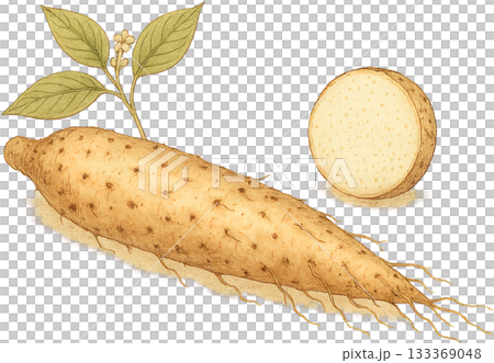 一幅線條柔和的插圖 一幅線條柔和的插圖 133369048