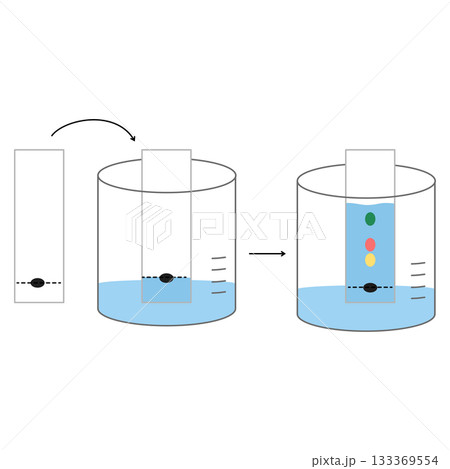 Thin-Layer Chromatography, Analytical Chemistry Technique Diagram Thin-Layer Chromatography, Analytical Chemistry Technique Diagram 133369554