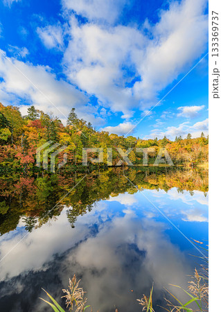 北海道天竜沼を彩る紅葉と澄んだ青空 北海道天竜沼を彩る紅葉と澄んだ青空 133369737