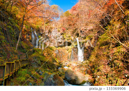 栃木県日光市　秋の紅葉に染まる裏見の滝 133369906
