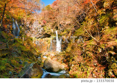 栃木県日光市 秋の紅葉に染まる裏見の滝 栃木県日光市 秋の紅葉に染まる裏見の滝 133370038