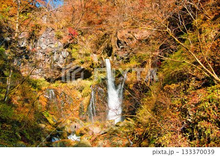 栃木県日光市　秋の紅葉に染まる裏見の滝 133370039