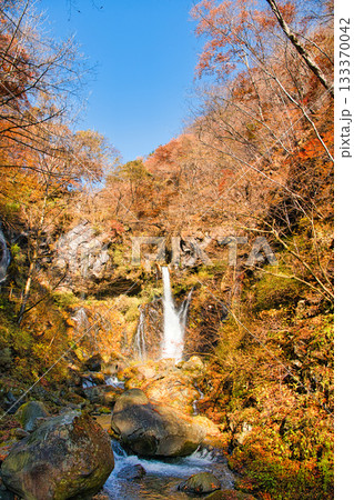 栃木県日光市 秋の紅葉に染まる裏見の滝 栃木県日光市 秋の紅葉に染まる裏見の滝 133370042