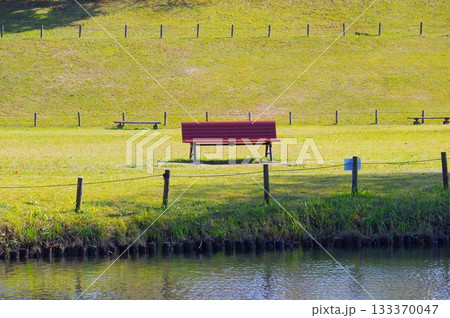 公園のベンチ 公園のベンチ 133370047