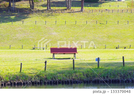 公園のベンチ 133370048