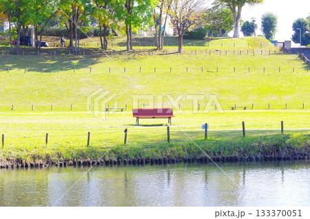 公園のベンチ 公園のベンチ 133370051