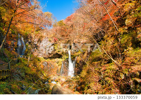 栃木県日光市　秋の紅葉に染まる裏見の滝 133370059