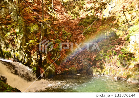 紅葉の滝に架かる虹 133370144