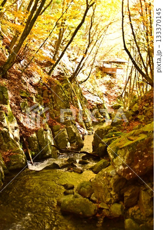 紅葉したお仙ヶ淵の景色 紅葉したお仙ヶ淵の景色 133370145