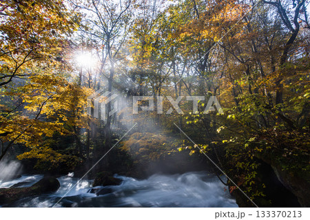 【青森県_奥入瀬渓流】ダイナミックな景観 阿修羅の流れ 10月 【青森県_奥入瀬渓流】ダイナミックな景観 阿修羅の流れ 10月 133370213