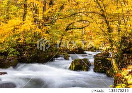 【青森県_奥入瀬渓流】ダイナミックな景観 阿修羅の流れ 10月 【青森県_奥入瀬渓流】ダイナミックな景観 阿修羅の流れ 10月 133370216