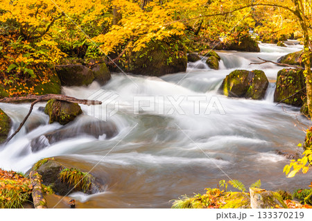 【青森県_奥入瀬渓流】ダイナミックな景観 阿修羅の流れ 10月 【青森県_奥入瀬渓流】ダイナミックな景観 阿修羅の流れ 10月 133370219