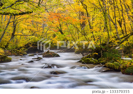 【青森県_奥入瀬渓流】錦秋の三乱の流れ 10月 【青森県_奥入瀬渓流】錦秋の三乱の流れ 10月 133370355