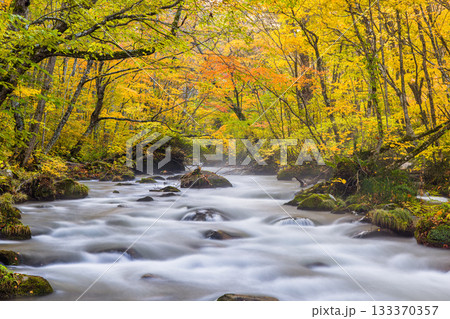 【青森県_奥入瀬渓流】錦秋の三乱の流れ 10月 【青森県_奥入瀬渓流】錦秋の三乱の流れ 10月 133370357