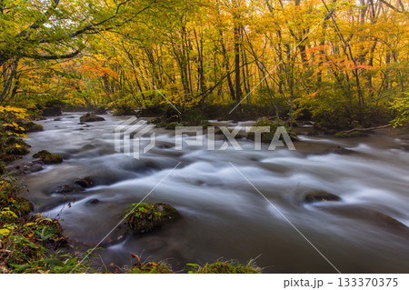 【青森県_奥入瀬渓流】錦秋の三乱の流れ　10月 133370375
