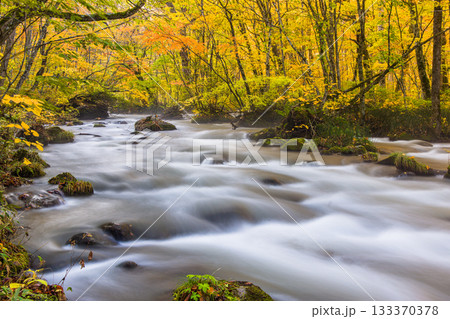 【青森県_奥入瀬渓流】錦秋の三乱の流れ 10月 【青森県_奥入瀬渓流】錦秋の三乱の流れ 10月 133370378
