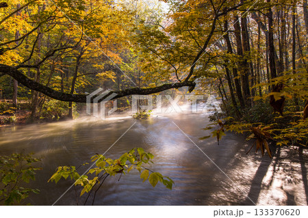 【青森県_奥入瀬渓流】錦秋の石ヶ戸 10月 【青森県_奥入瀬渓流】錦秋の石ヶ戸 10月 133370620