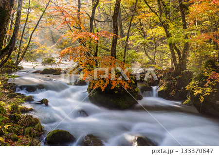 【青森県_奥入瀬渓流】錦秋の石ヶ戸　10月  133370647
