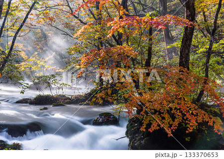 【青森県_奥入瀬渓流】錦秋の石ヶ戸　10月  133370653
