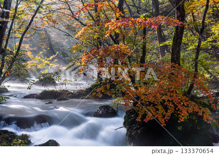 【青森県_奥入瀬渓流】錦秋の石ヶ戸　10月  133370654