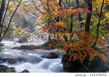 【青森県_奥入瀬渓流】錦秋の石ヶ戸　10月  133370656