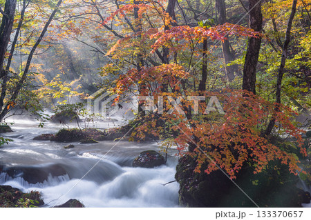 【青森県_奥入瀬渓流】錦秋の石ヶ戸　10月  133370657