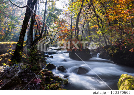 【青森県_奥入瀬渓流】錦秋の石ヶ戸　10月  133370663