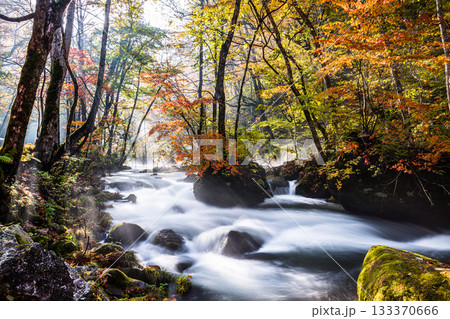 【青森県_奥入瀬渓流】錦秋の石ヶ戸　10月  133370666