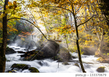 【青森県_奥入瀬渓流】錦秋の石ヶ戸　10月  133370679