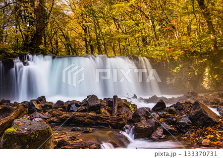 【青森県_奥入瀬渓流】錦秋の銚子大滝 10月 133370731