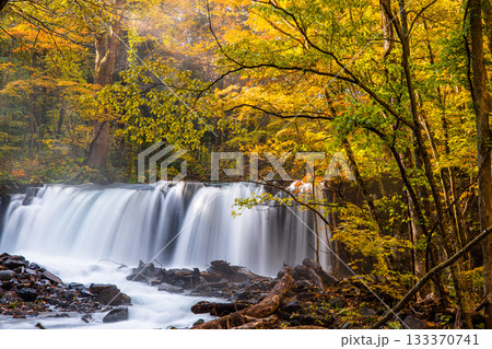 【青森県_奥入瀬渓流】錦秋の銚子大滝 10月 133370741